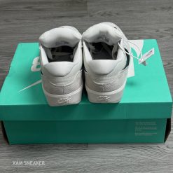 Giày Nike SB Force 58 ‘Photon Dust’ 04
