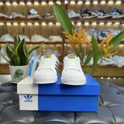 Giày Adidas Superstar Siêu cấp