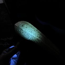 Giày Adidas Ultraboots 8.0 Like Auth