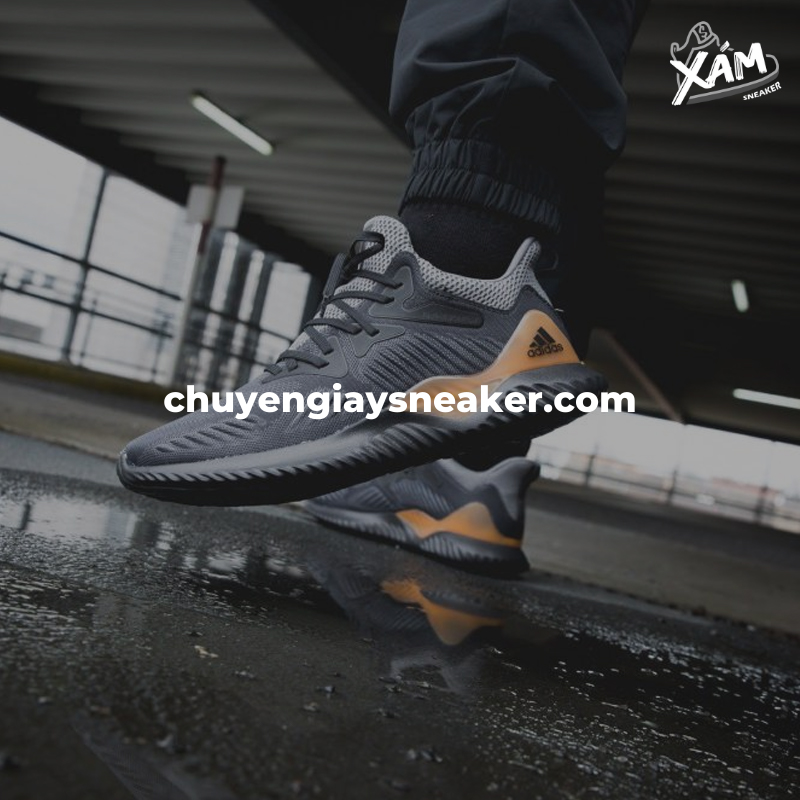 Giới thiệu về giày Alpha Bounce