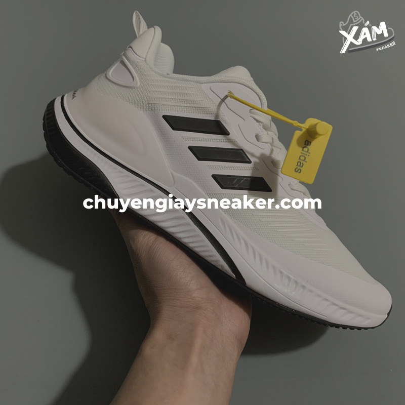 Màu sắc giày Alpha Magma Rep 1:1 đa dạng