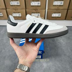 z5585619615069_1de82c6b23d838fafac24247bf85962a