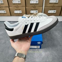 z5585619620694_904c23977fb42e44ace041f8c69a0901