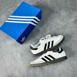 z5585619635144_747500ed8d5ce4f009942b52295378fd