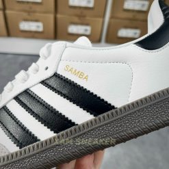 z5585619678892_29ff0e436d54d0bdd66de65acac023f7